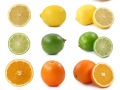food_169